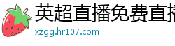 英超直播免费直播视频直播